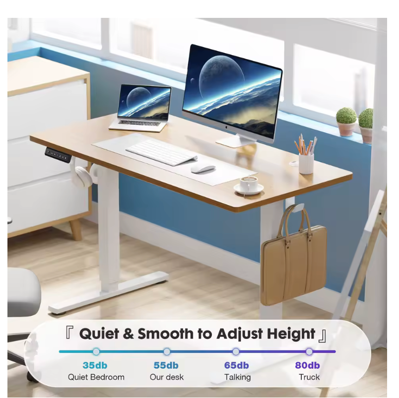 FlexRise Electric Desk - Ergonomic Sit-to-Stand Workstation (48x28 Inches)